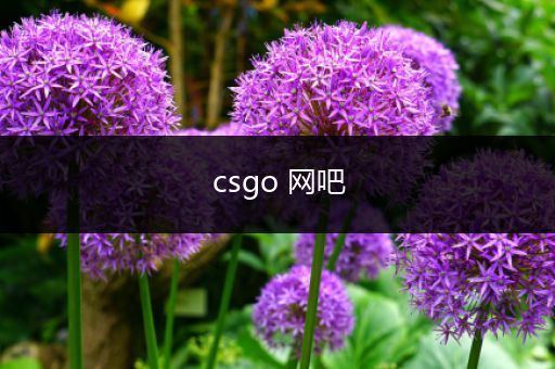 csgo 网吧