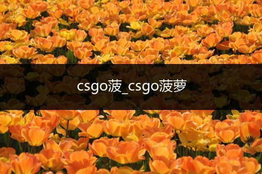 csgo菠_csgo菠萝