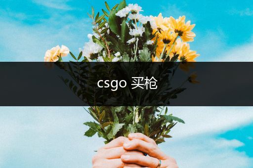 csgo 买枪