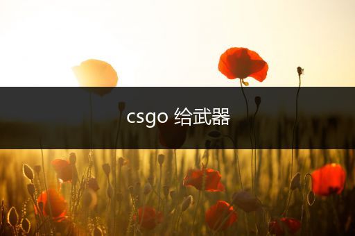 csgo 给武器