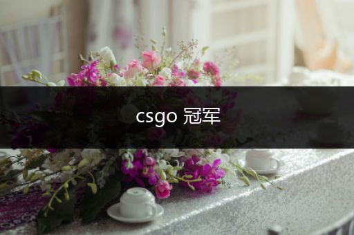 csgo 冠军