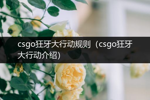 csgo狂牙大行动规则（csgo狂牙大行动介绍）