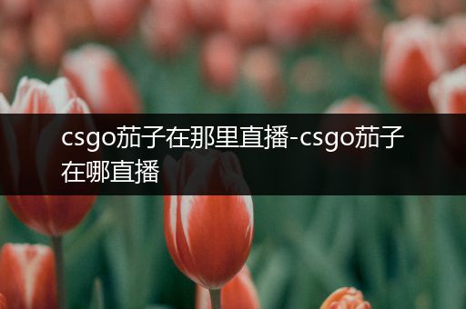 csgo茄子在那里直播-csgo茄子在哪直播