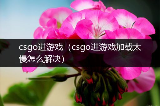 csgo进游戏（csgo进游戏加载太慢怎么解决）