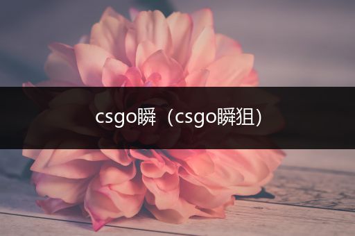 csgo瞬（csgo瞬狙）