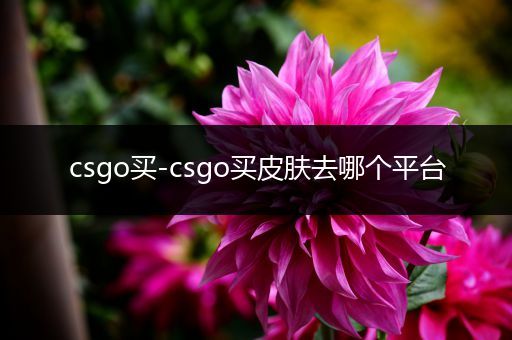 csgo买-csgo买皮肤去哪个平台