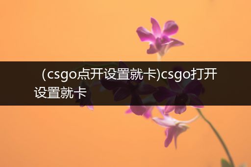 （csgo点开设置就卡)csgo打开设置就卡