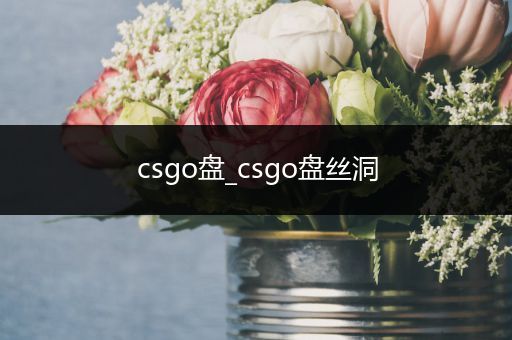 csgo盘_csgo盘丝洞