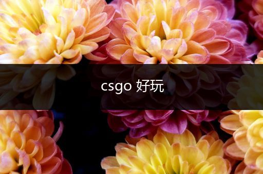 csgo 好玩