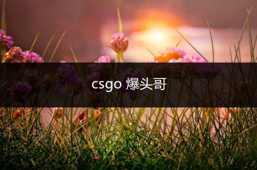 csgo 爆头哥