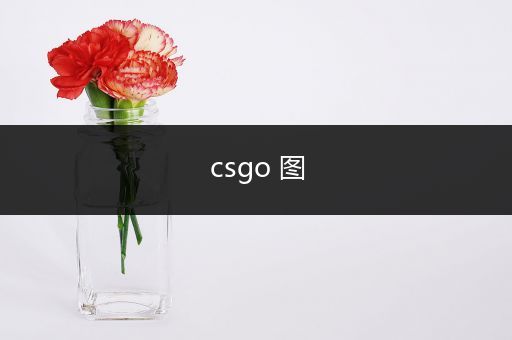 csgo 图