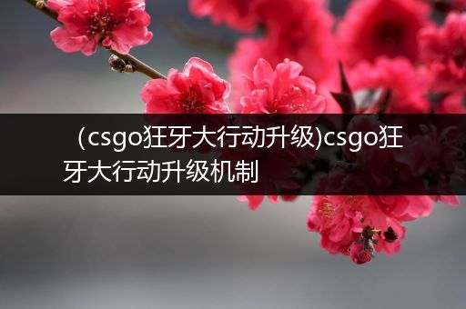 （csgo狂牙大行动升级)csgo狂牙大行动升级机制