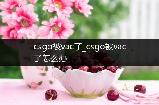 csgo被vac了_csgo被vac了怎么办