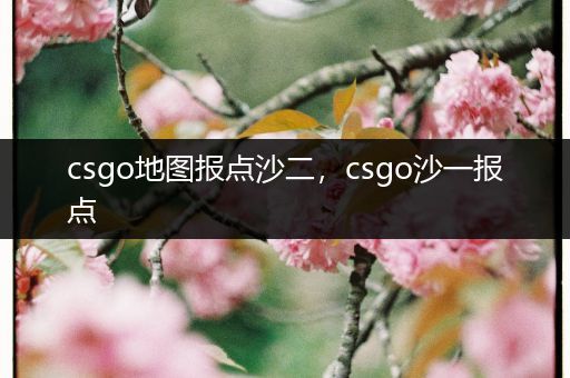 csgo地图报点沙二，csgo沙一报点