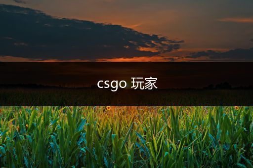 csgo 玩家