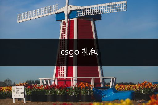 csgo 礼包