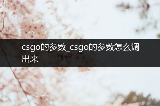 csgo的参数_csgo的参数怎么调出来