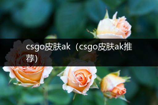 csgo皮肤ak（csgo皮肤ak推荐）