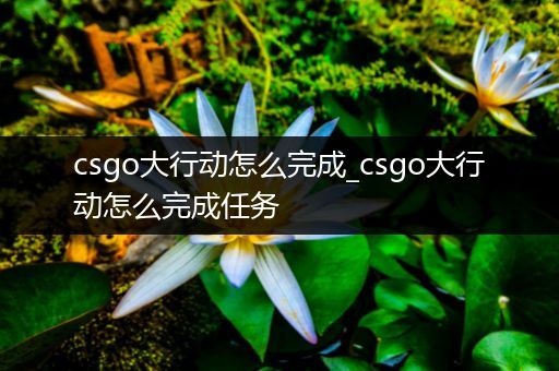 csgo大行动怎么完成_csgo大行动怎么完成任务