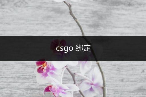 csgo 绑定