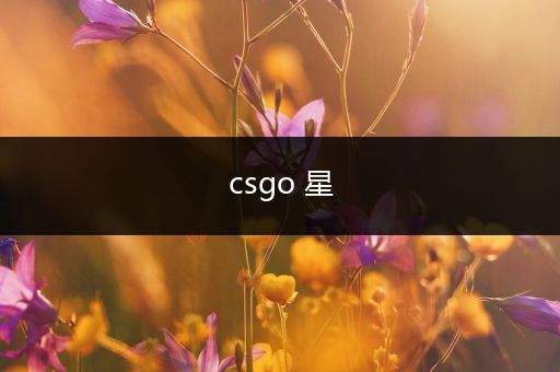 csgo 星