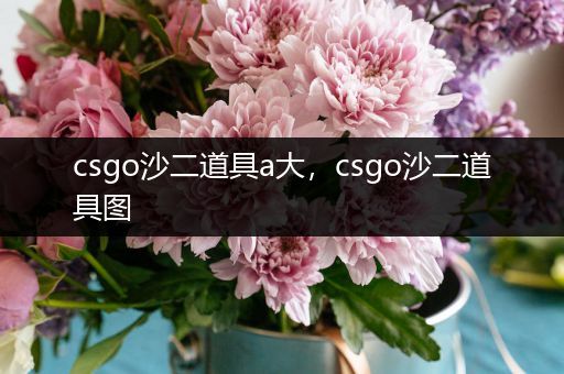 csgo沙二道具a大，csgo沙二道具图