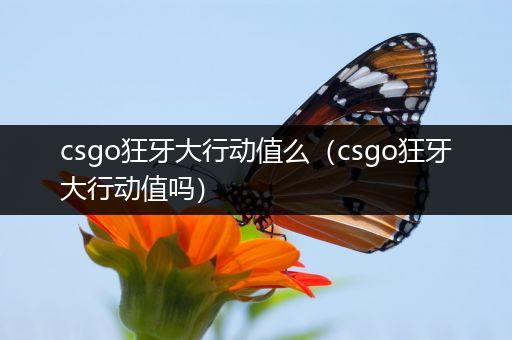 csgo狂牙大行动值么（csgo狂牙大行动值吗）