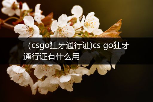 （csgo狂牙通行证)cs go狂牙通行证有什么用