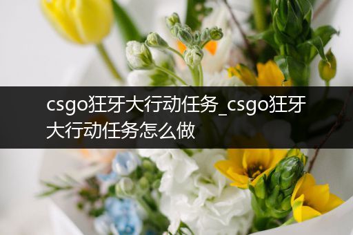 csgo狂牙大行动任务_csgo狂牙大行动任务怎么做