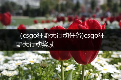 （csgo狂野大行动任务)csgo狂野大行动奖励