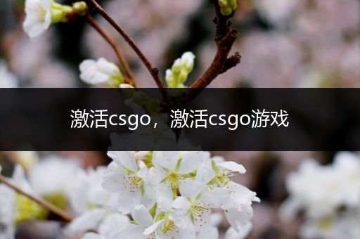 激活csgo，激活csgo游戏