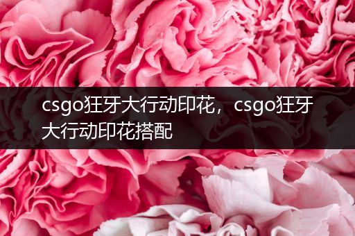 csgo狂牙大行动印花，csgo狂牙大行动印花搭配