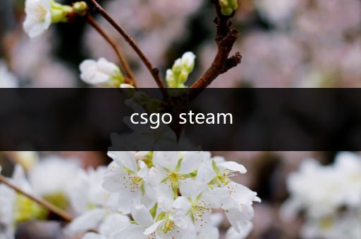 csgo steam