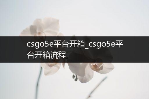 csgo5e平台开箱_csgo5e平台开箱流程