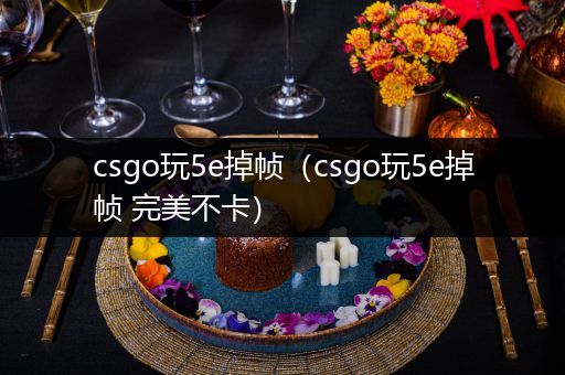 csgo玩5e掉帧（csgo玩5e掉帧 完美不卡）