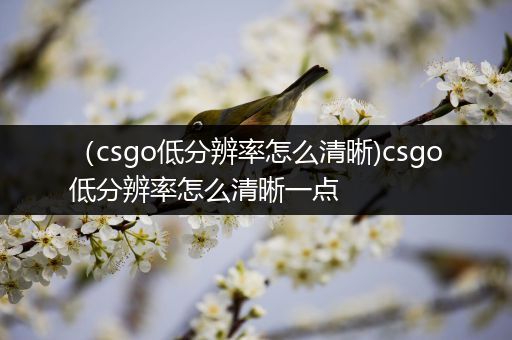 （csgo低分辨率怎么清晰)csgo低分辨率怎么清晰一点