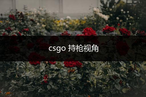 csgo 持枪视角