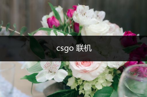 csgo 联机