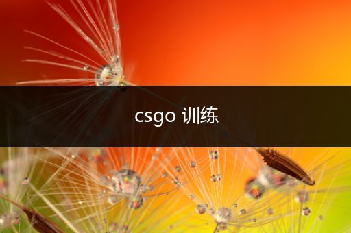 csgo 训练