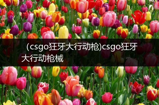 （csgo狂牙大行动枪)csgo狂牙大行动枪械