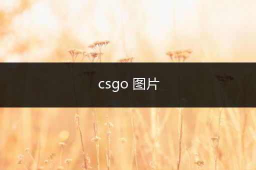 csgo 图片