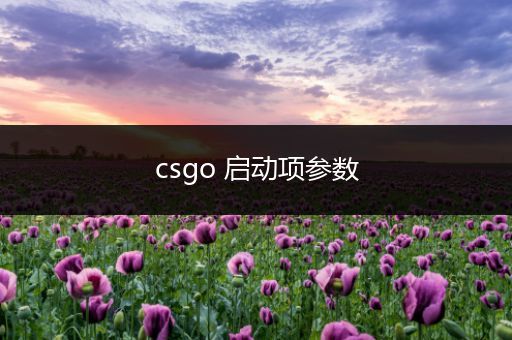 csgo 启动项参数