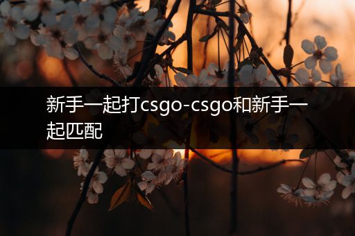 新手一起打csgo-csgo和新手一起匹配