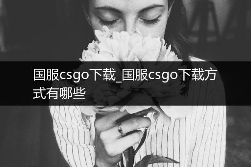 国服csgo下载_国服csgo下载方式有哪些