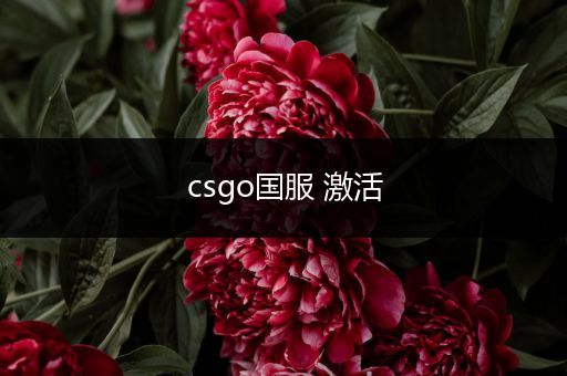 csgo国服 激活