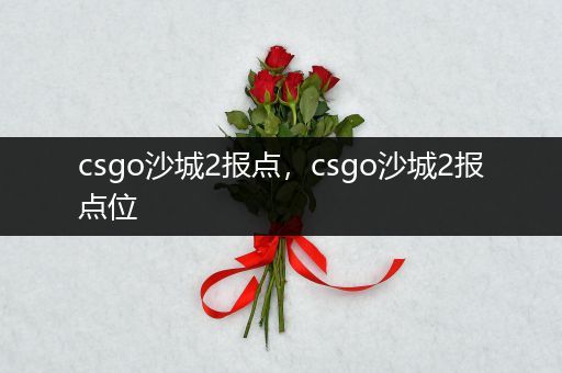 csgo沙城2报点，csgo沙城2报点位