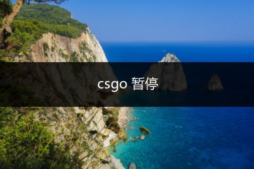 csgo 暂停