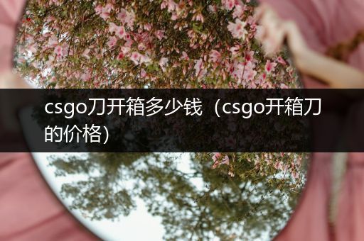 csgo刀开箱多少钱（csgo开箱刀的价格）