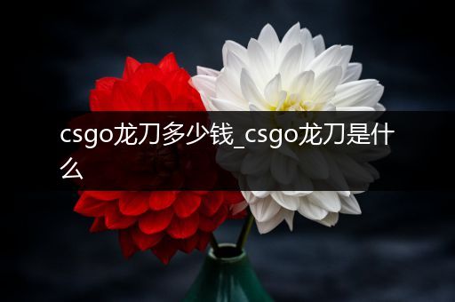 csgo龙刀多少钱_csgo龙刀是什么