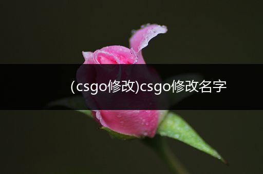 （csgo修改)csgo修改名字